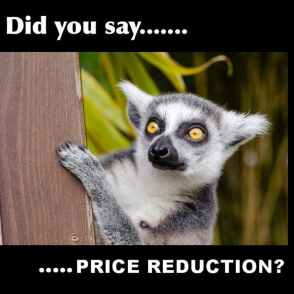 Lowered Prices - Picture 2 of 4